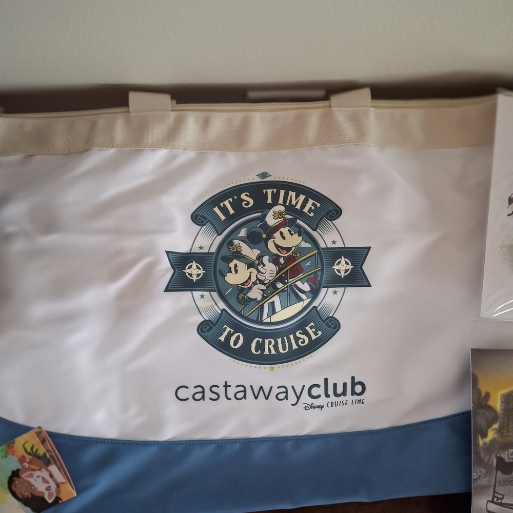 Disney Castaway Club Platinum Gift Set + DVC Items - Picture 3 of 11